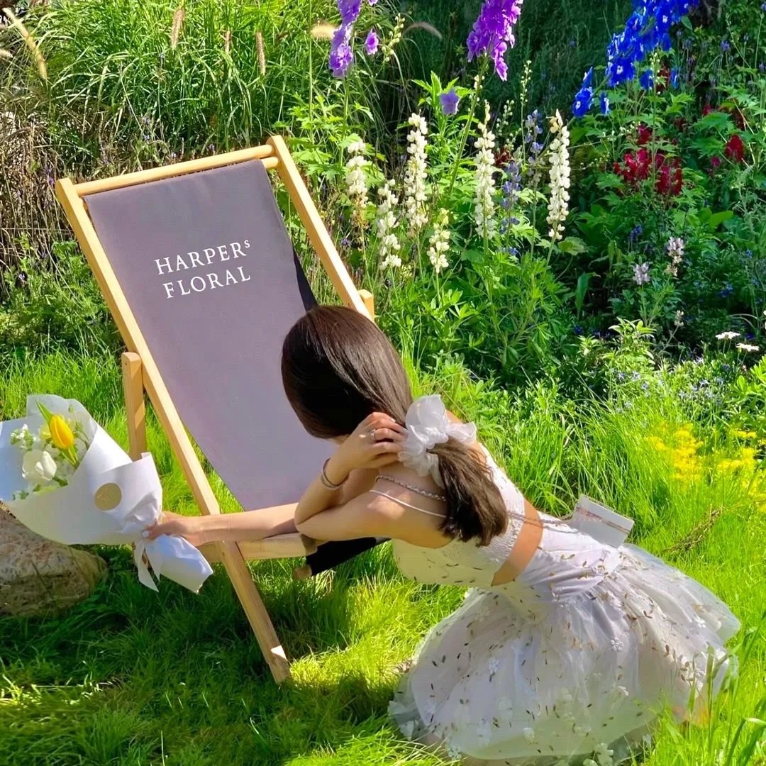 家族死敌把我宠成京城小祖宗